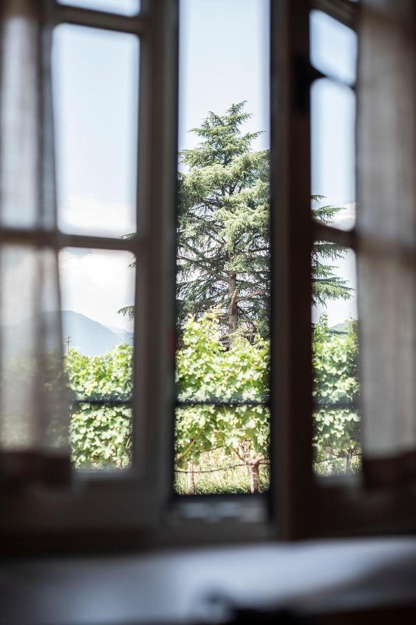 Apartamento Weingut Kornell - Schafferhaus Cosmas Und Zeder Terlano Exterior foto